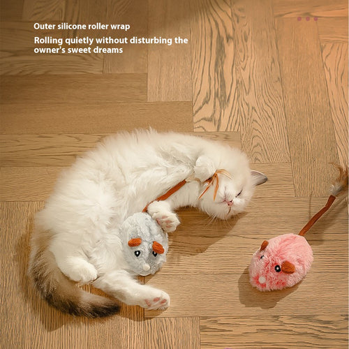 Driving Electric Mouse for Cats