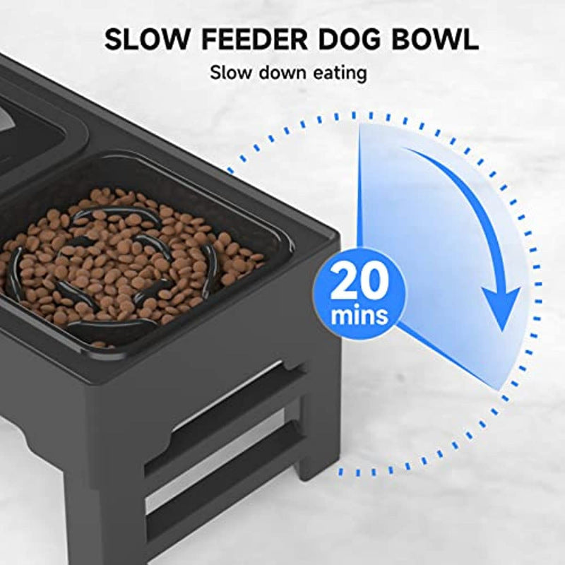 Elevated Dog Bowl