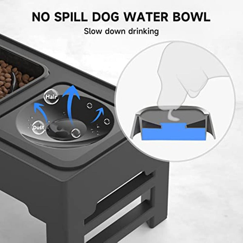 Elevated Dog Bowl