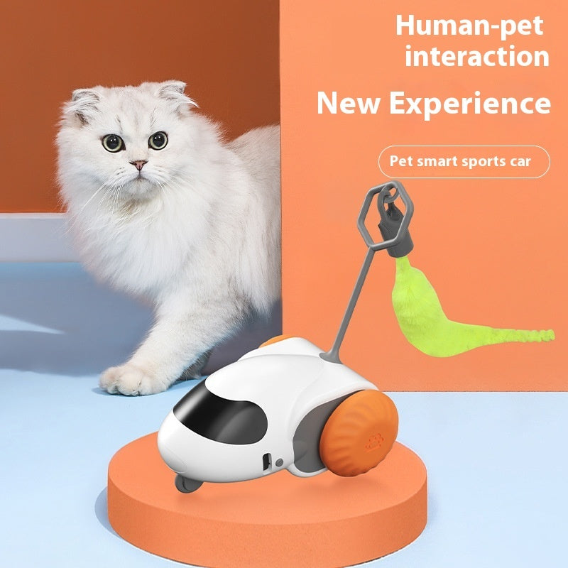 Relieving Stuffy Gravity Car for Cats