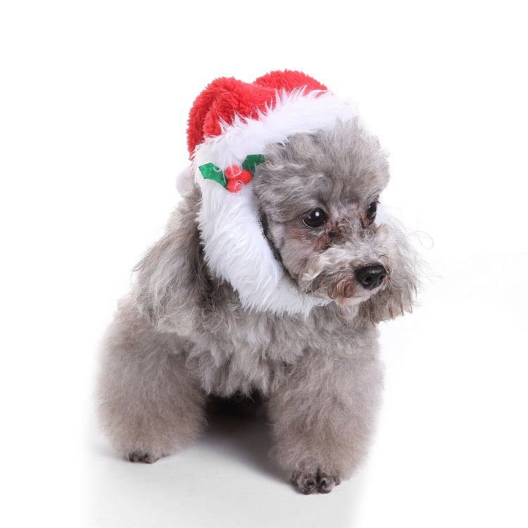 Pet Christmas Hat