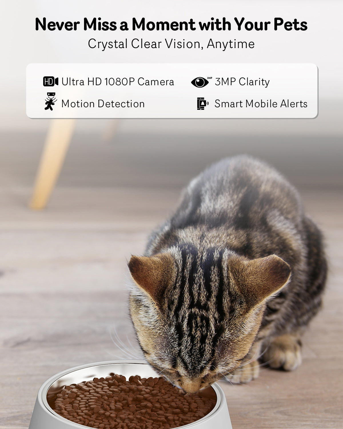 Automatic Pet Feeder With Camera