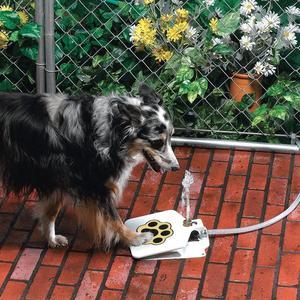 Outdoor Dog Water Fountain