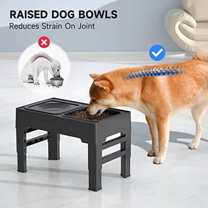 Elevated Dog Bowl