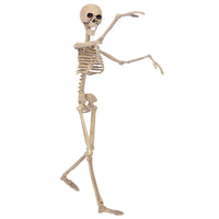 90cm Movable Skeleton