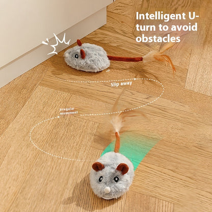 Driving Electric Mouse for Cats