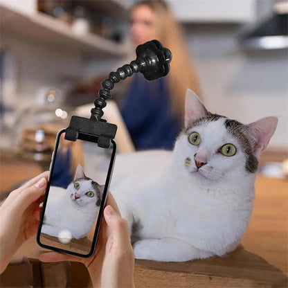 Pet Photography Tool