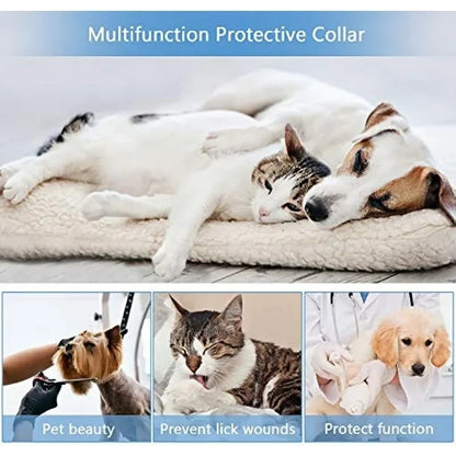 Inflatable Dog Protection Collar