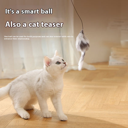 Mouse Teaser Ball for Cats