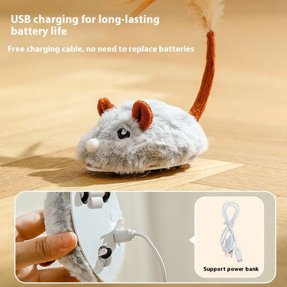 Driving Electric Mouse for Cats