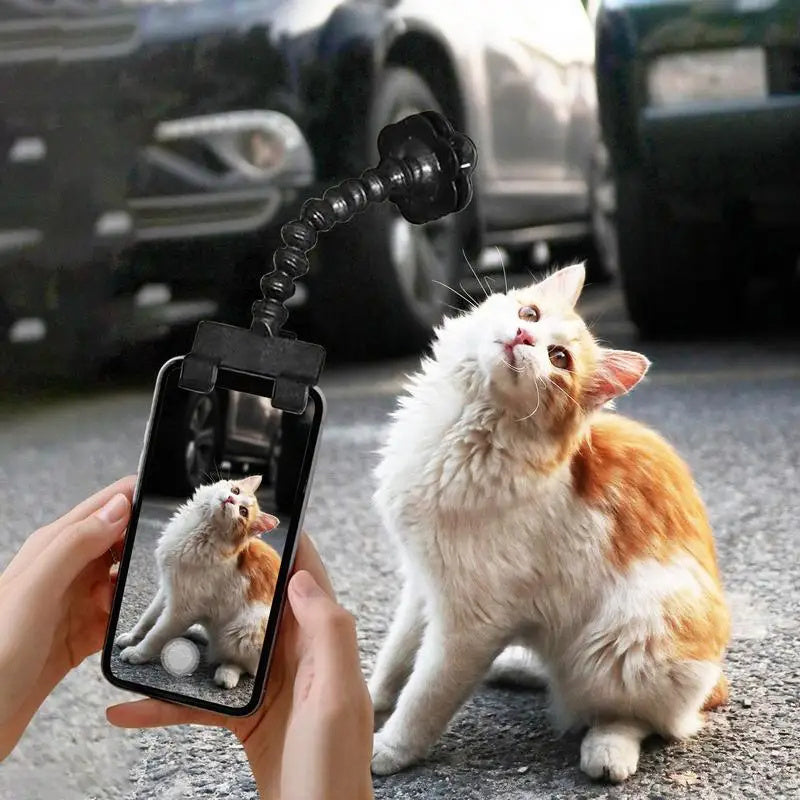 Pet Photography Tool