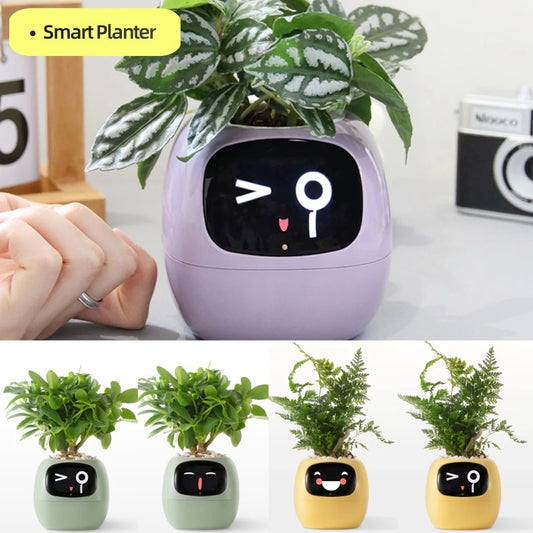 Smart Planter Pot