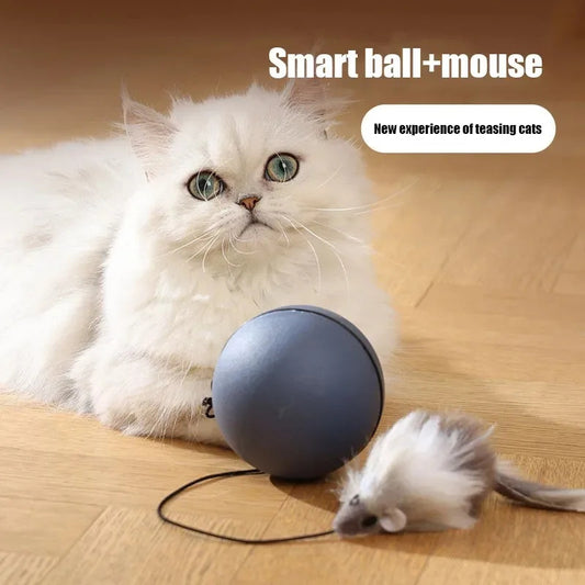 Mouse Teaser Ball for Cats