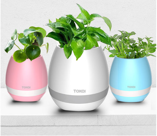 Touch-sensitive Music Vase