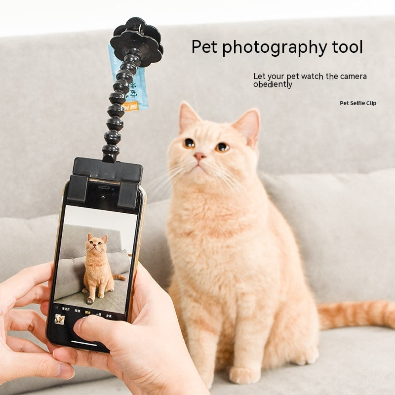 Pet Photography Tool