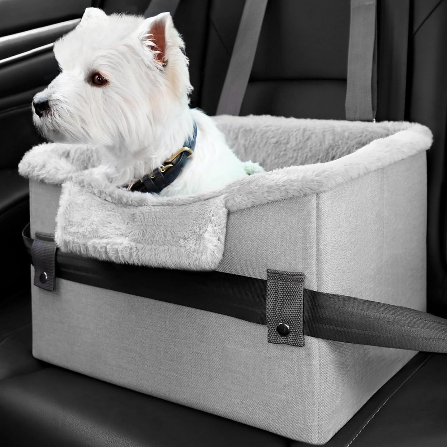 Small Dog Car Seat