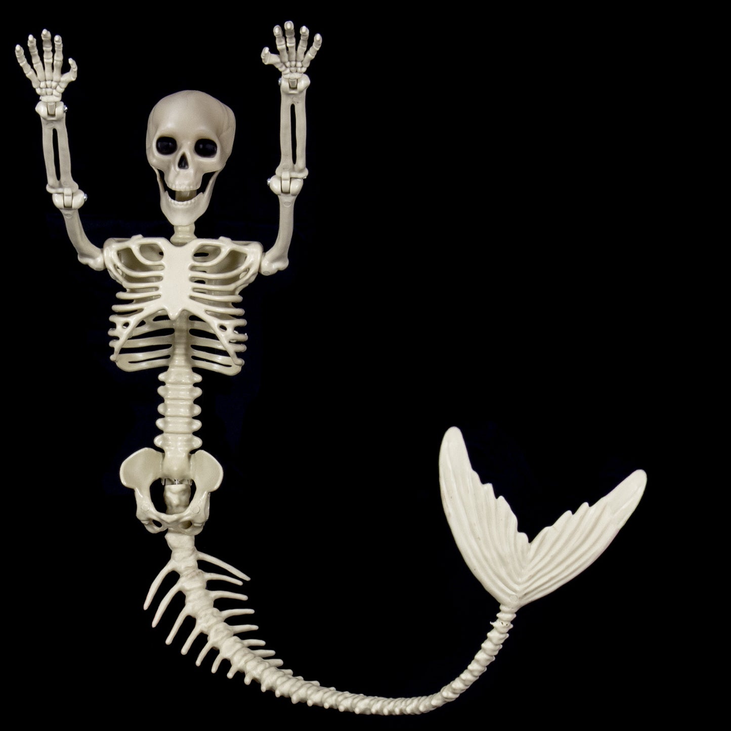 Halloween Skull Fish-skeleton Hanger