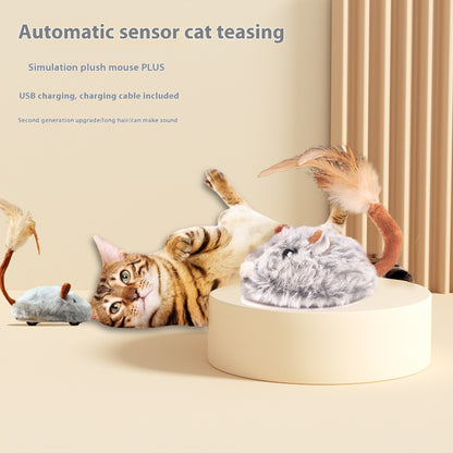 Driving Electric Mouse for Cats