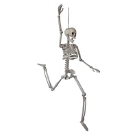 60cm Movable Skeleton