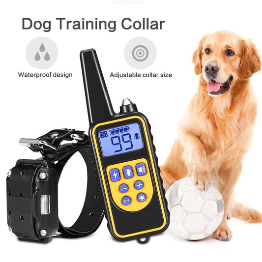 Dog Training Collar