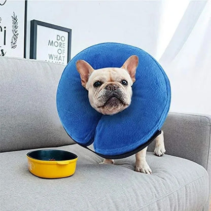 Inflatable Dog Protection Collar