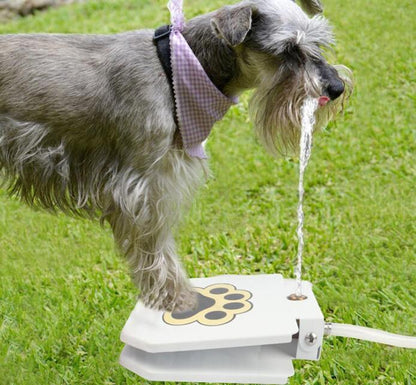 Outdoor Dog Water Fountain