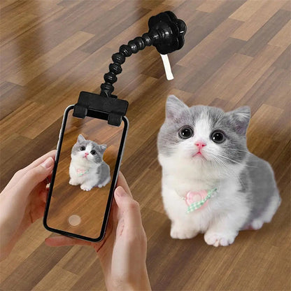 Pet Photography Tool