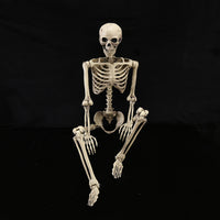 165cm High Fixed Skeleton