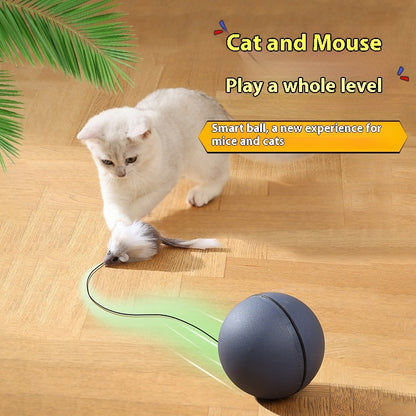 Mouse Teaser Ball for Cats