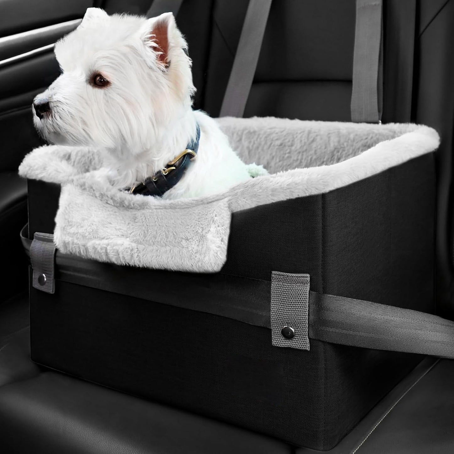 Small Dog Car Seat